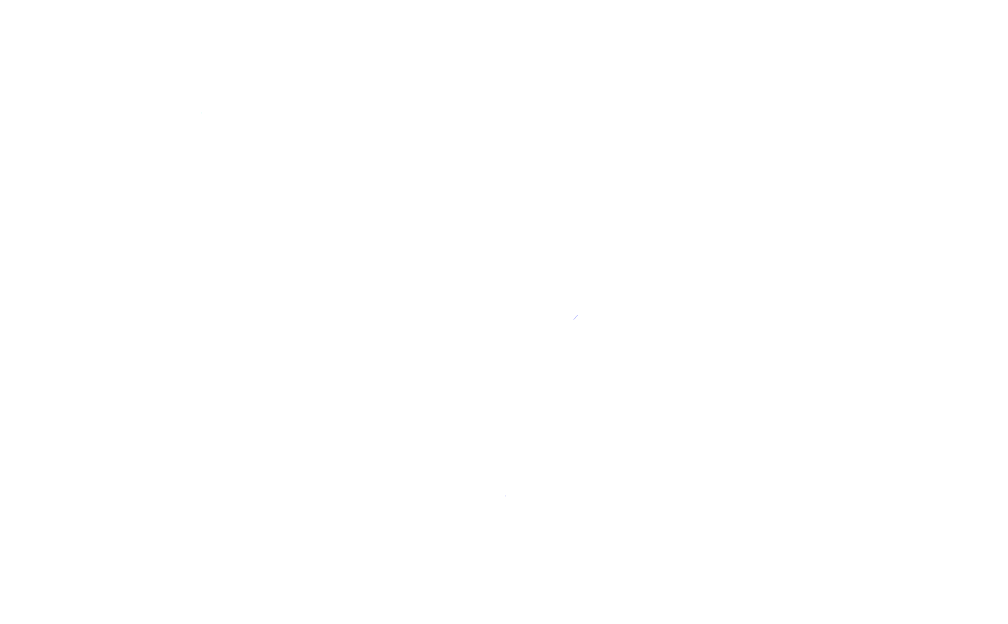 Sisizapatos